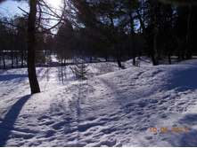 DSCN2222.JPG