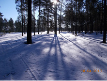 DSCN2227.JPG