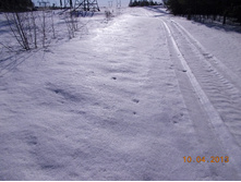 DSCN2237.JPG