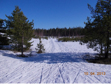DSCN2248.JPG