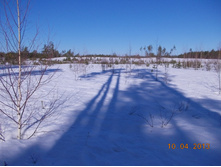DSCN2250.JPG
