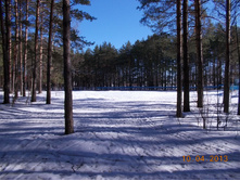 DSCN2254.JPG