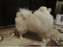 DSCN1535.JPG