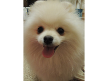 DSCN1525.JPG