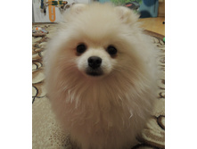DSCN1527.JPG