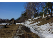 S0498114.JPG