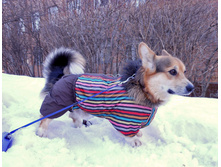 dscn08251.JPG
