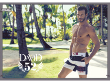 David Catalogue 2013_090.jpg