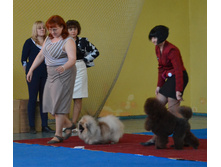 DSC_0144.JPG