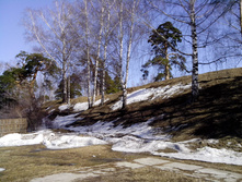 IMG_20130413_121729.jpg