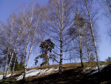 IMG_20130413_121743.jpg
