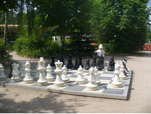 P1020781