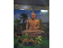 AFA 03.2007