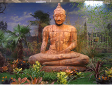 AFA 03.2007
