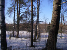 IMGP4210.JPG