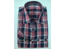  ������� ������� WELLINI W117 ������: 	 495.00 ���