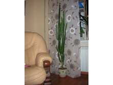 DSCN9237.JPG