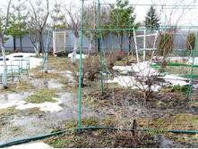 S73R3907.JPG