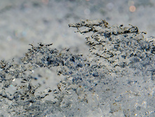 DSC_0074.jpg