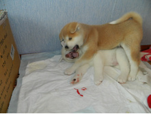 DSCN1088.jpg