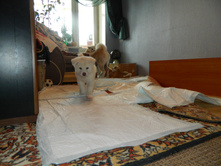 DSCN1090.jpg