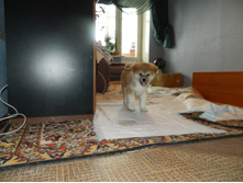 DSCN1097.jpg