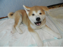 DSCN1124.jpg
