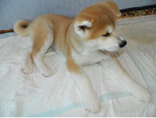 DSCN1125.jpg