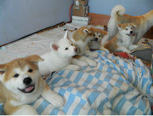 DSCN1137.jpg