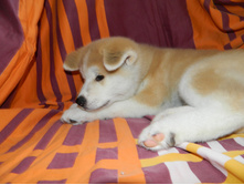 DSCN1139.jpg