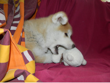 DSCN1151.jpg