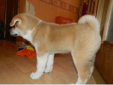 DSCN1158.jpg