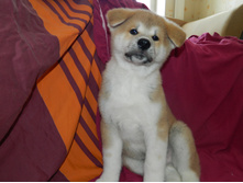 DSCN1165.jpg