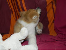 DSCN1167.jpg