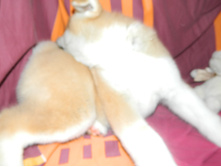 DSCN1173.jpg