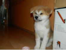 DSCN1183.jpg