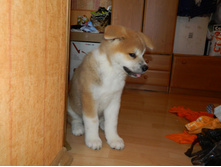 DSCN1185.jpg