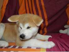 DSCN1189.jpg