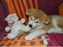 DSCN1195.jpg