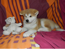 DSCN1198.jpg