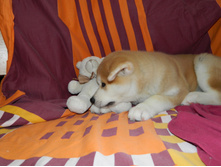 DSCN1199.jpg