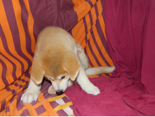 DSCN1204.jpg