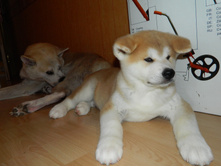 DSCN1209.jpg