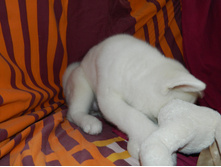 DSCN1210.jpg