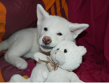 DSCN1214.jpg