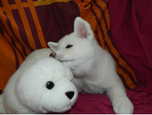 DSCN1216.jpg