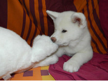 DSCN1225.jpg