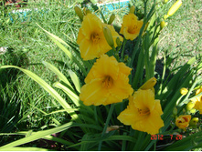DSC07174.JPG