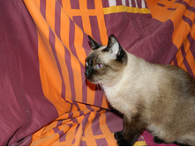 DSCN1235.jpg