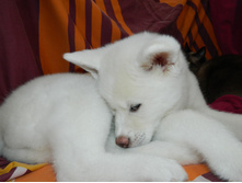 DSCN1238.jpg